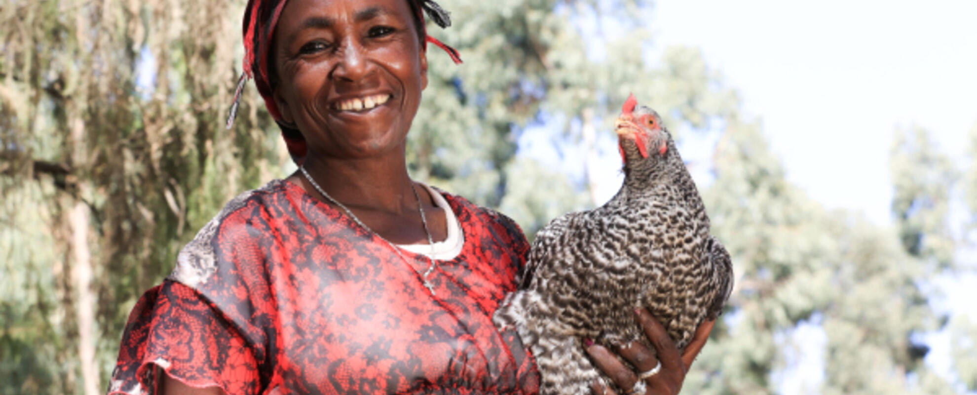Women's Empowerment in Livestock Index (WELI)