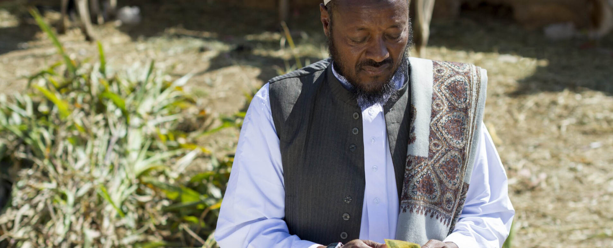 Market system approaches for delivery of innovations, and safe and affordable animal-sourced foods