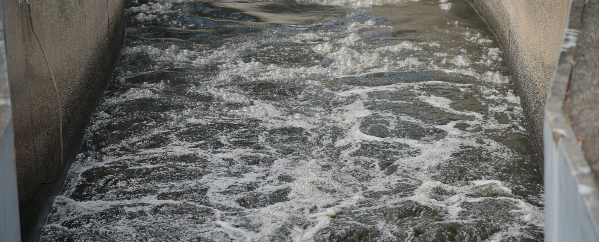 Biological Waste Surveillance at ILRI