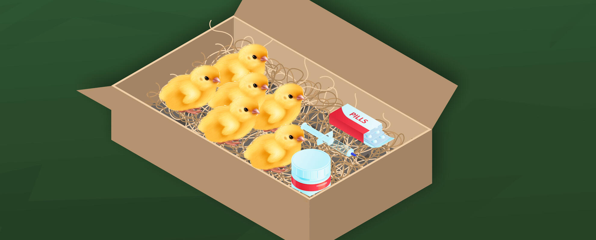 Colored drawing of chicks in a cardboard box with vaccines