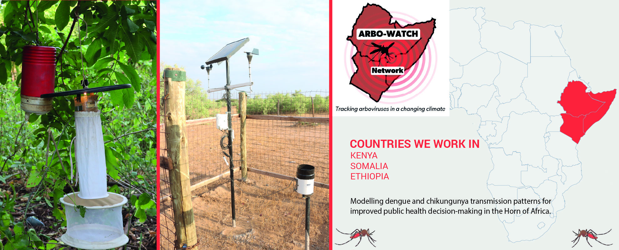 ARBO-WATCH project