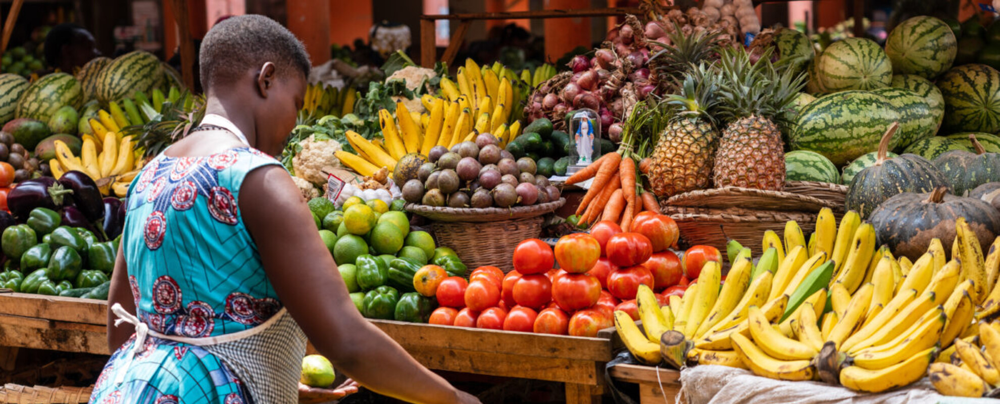 Better Diets and Nutrition Science Program