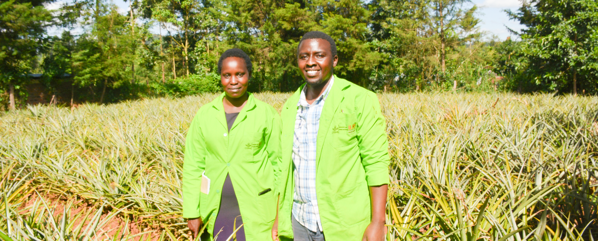 Nicholas and Rahab in their Pineapple farm