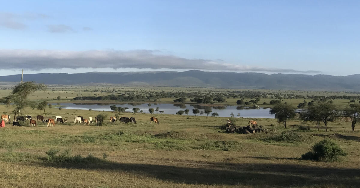 International Livestock Research Institute - Vimarsana News