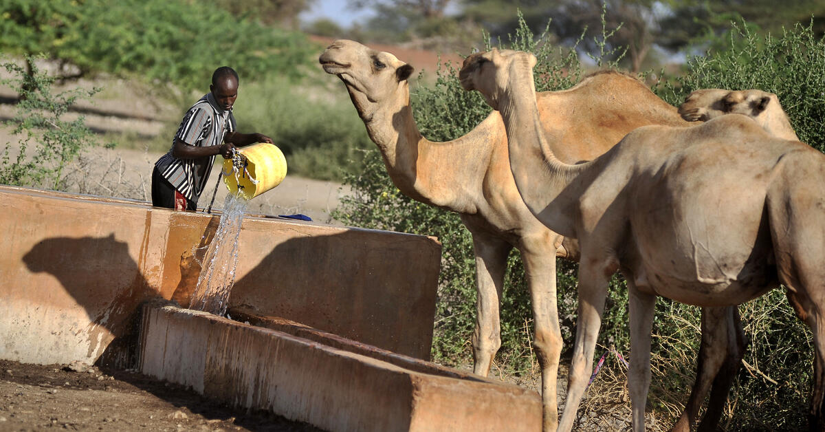 Thriving through change: Innovative adaptation tools for resilient food systems in Africa - Vimarsana News
