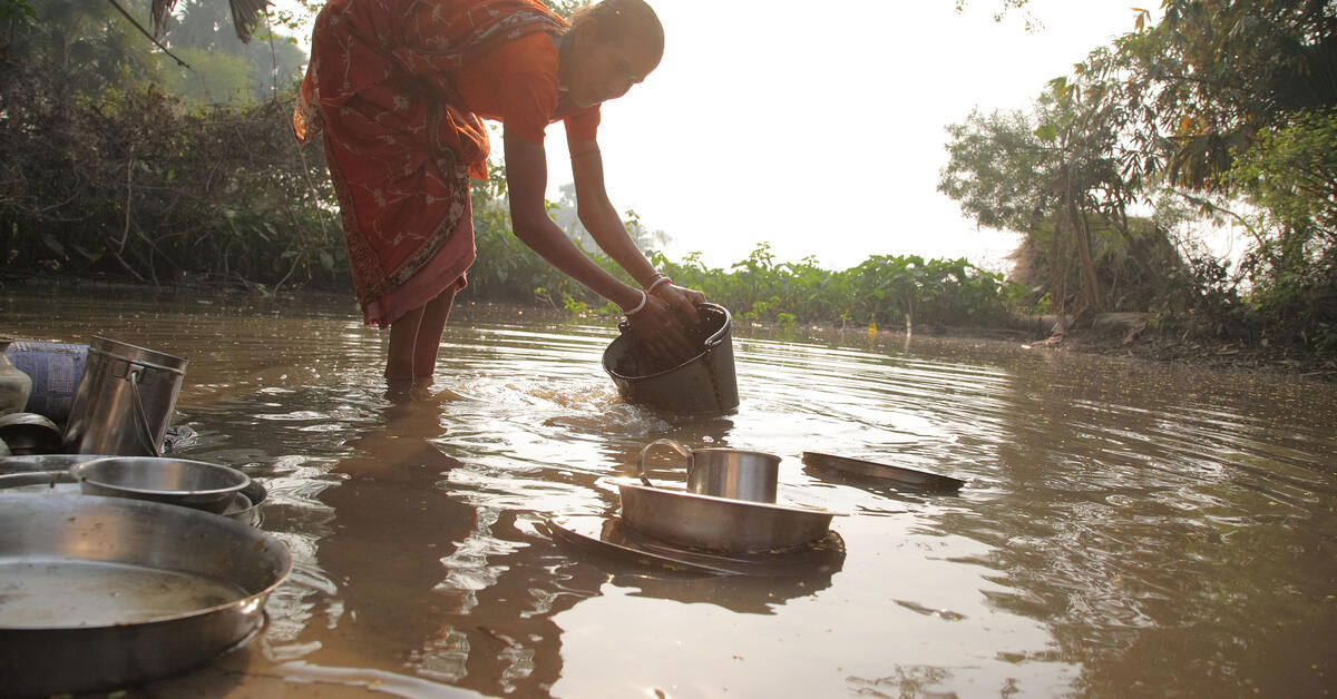 Antimicrobial resistance in agriculture – the impact of WASH and biosecurity - Vimarsana News