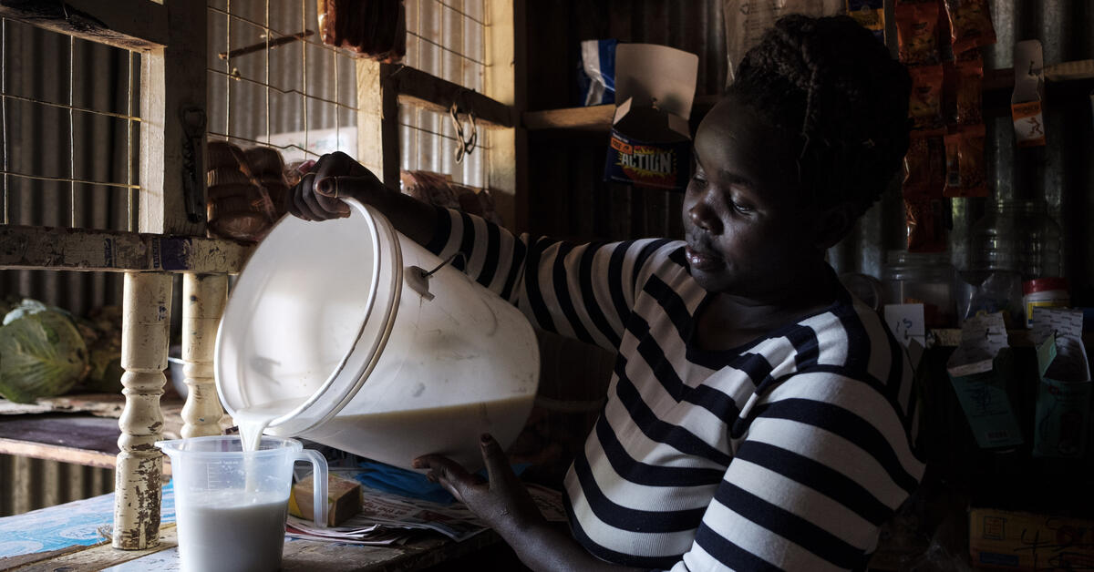 Milking it: boosting profit and professionalization in Kenya's informal dairy sector - Vimarsana News