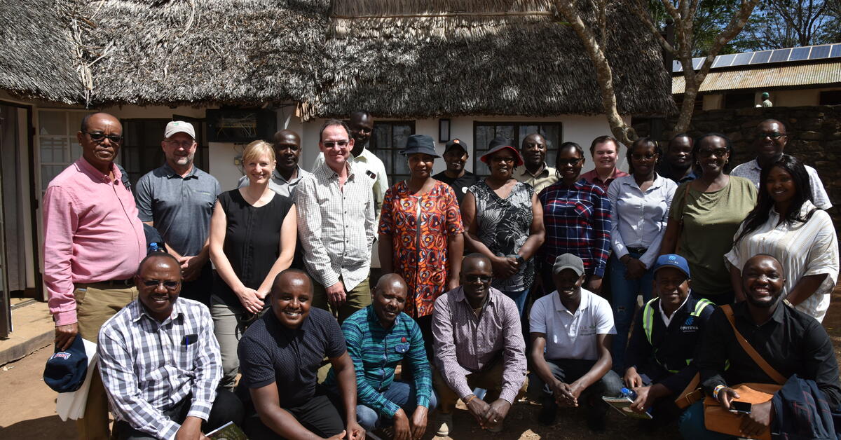 Scaling up cutting-edge feed and forage impact 15-fold over the next five years - Vimarsana News