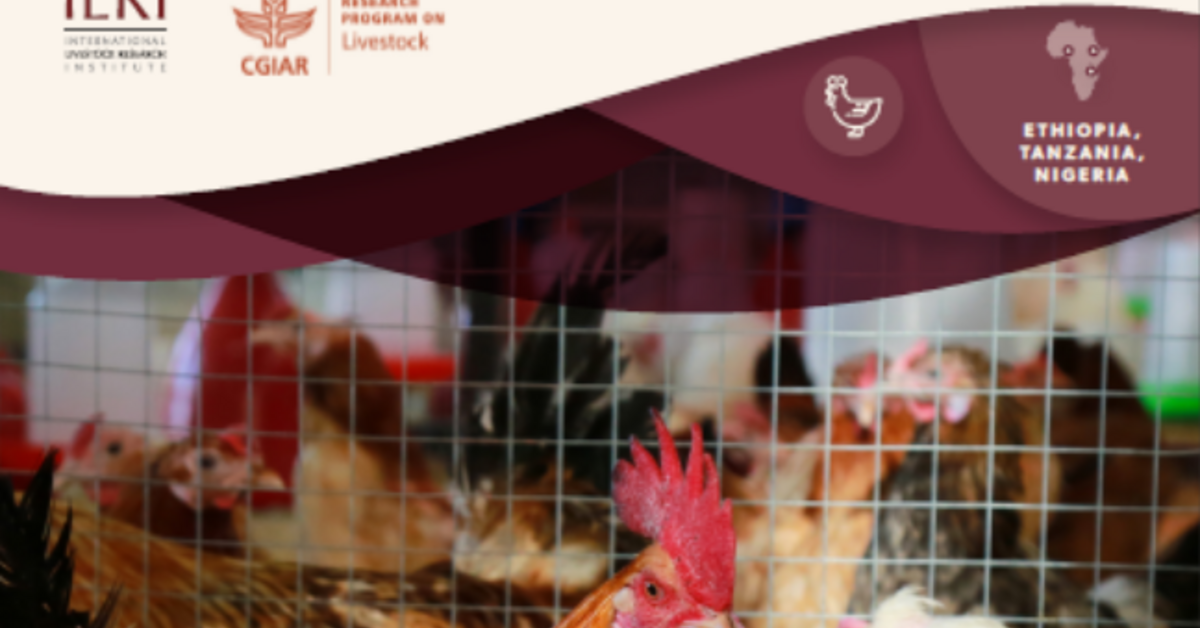 From breeding to solutions strategy—how a livestock