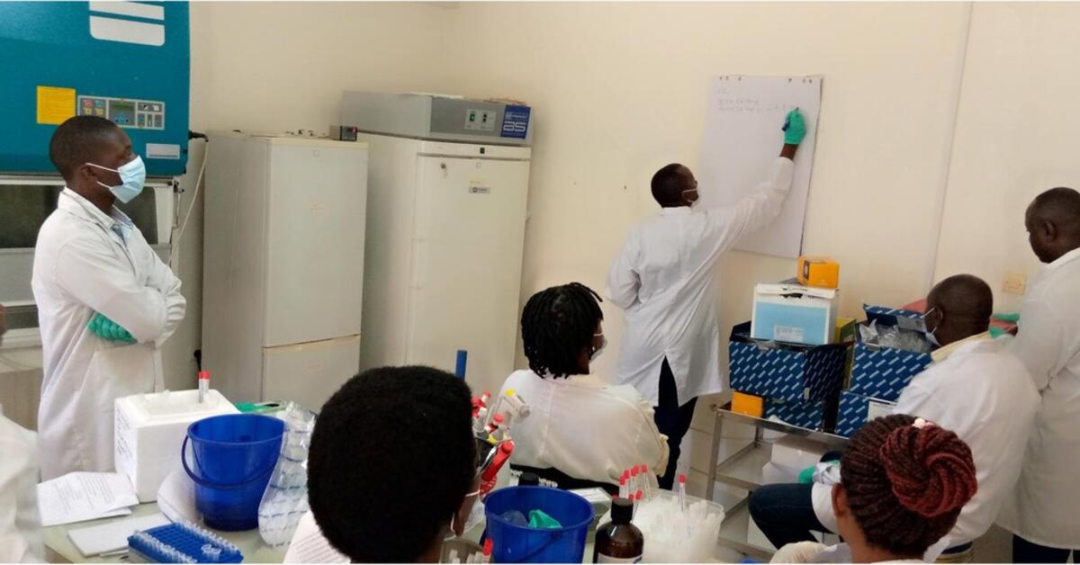 One Health Centre in Africa supports Burundi’s response to Rift Valley ...
