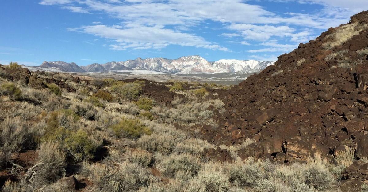 Why rangelands matter, and the surprising benefits of their restoration
