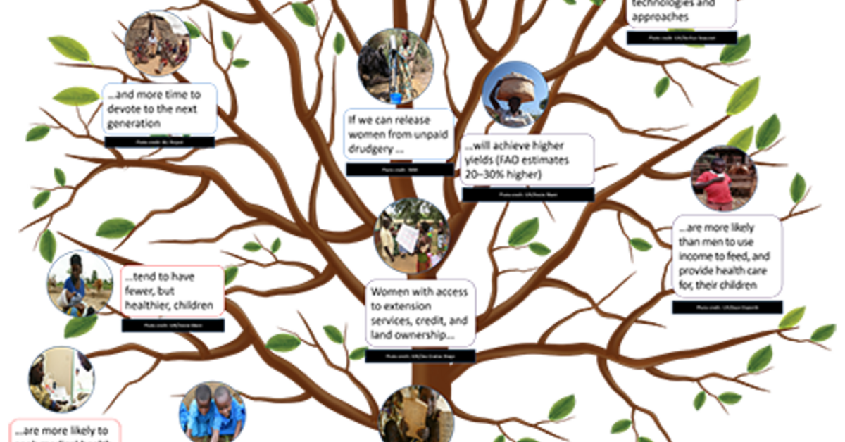 Designing for gender equality International Livestock Research Institute