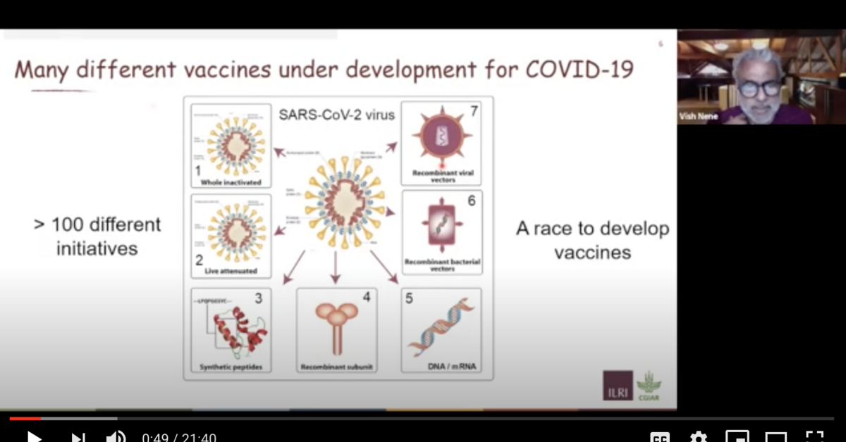 The good and not-so-good news about the state of COVID-19 vaccine ...