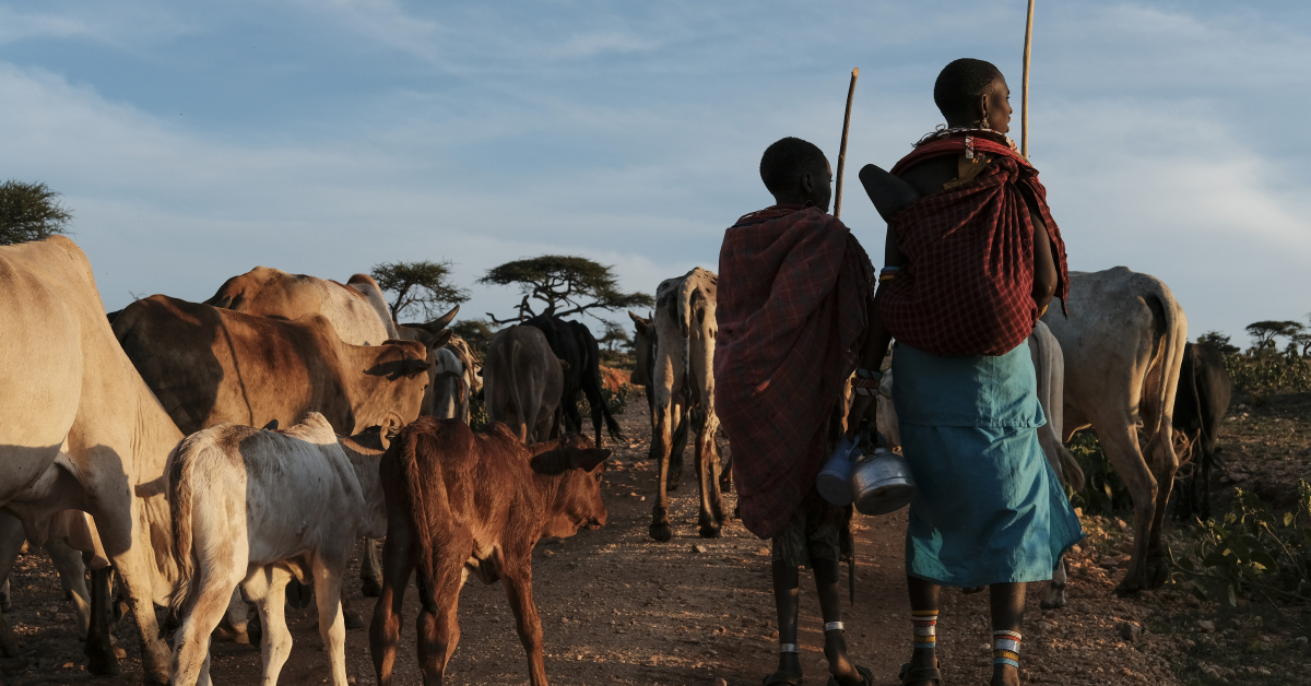 Rangelands Rising: Investing in Sustainable Management and Restoration