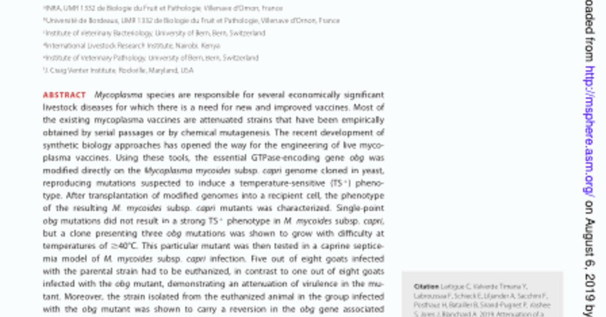 Attenuation of a pathogenic Mycoplasma strain by modification of the
