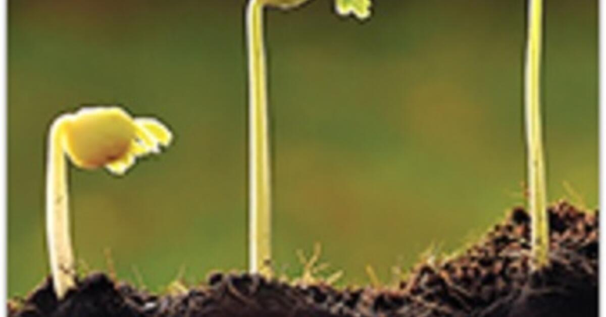 Livestock production challenges and improved forage production efforts