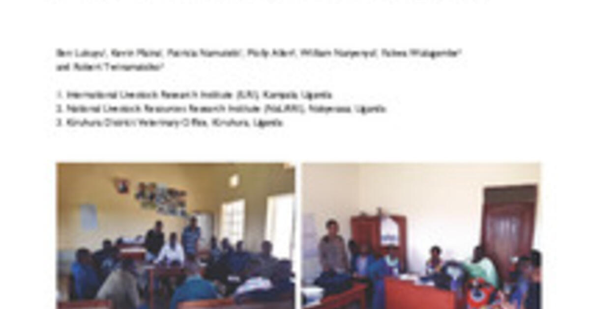 Characterisation of the livestock production system and potential for