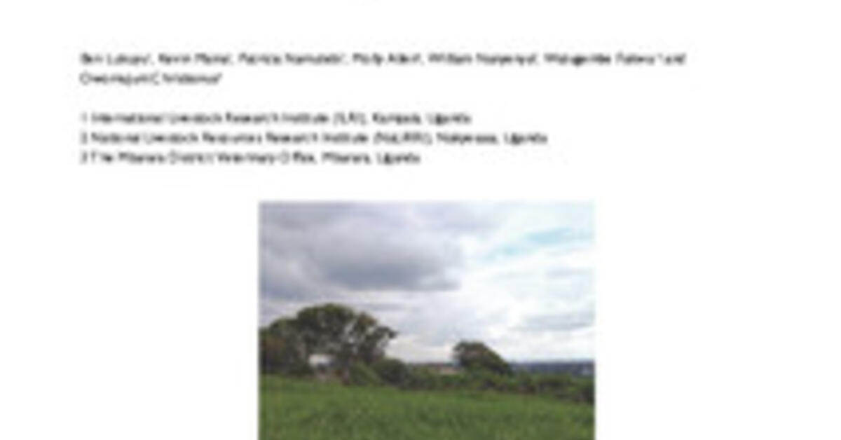 An assessment of livestock production systems and local feed resources