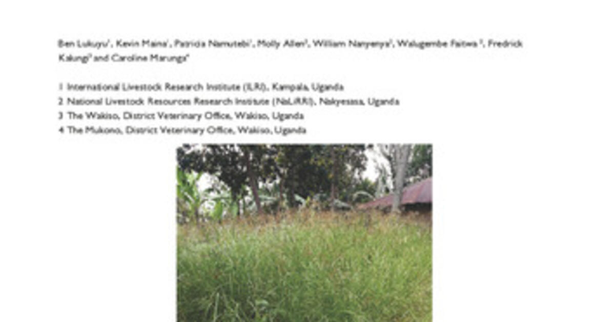 Characterisation of the livestock production system and potential for