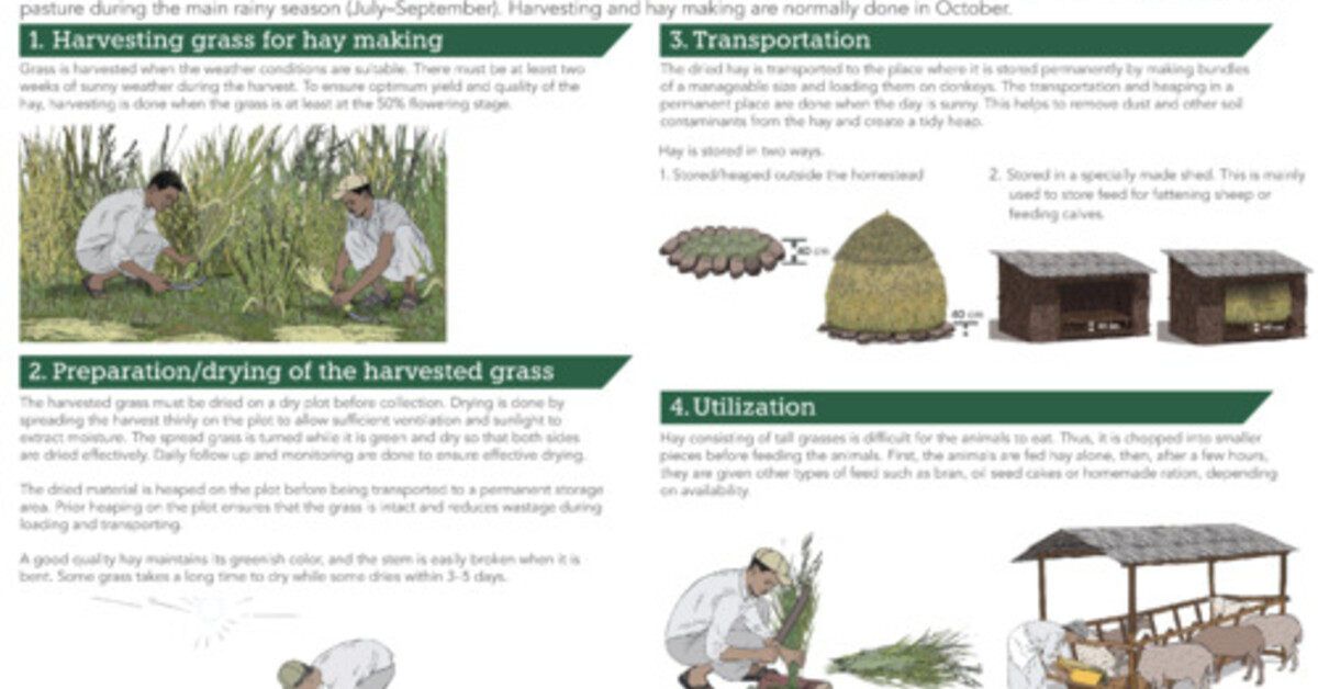 Hay Project Model Haymaking and utilization
