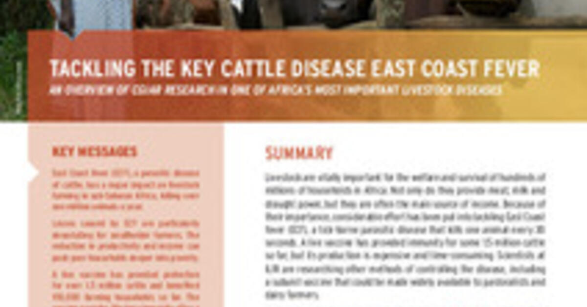 Tackling the key cattle disease East Coast fever An overview of CGIAR research in one of Africa