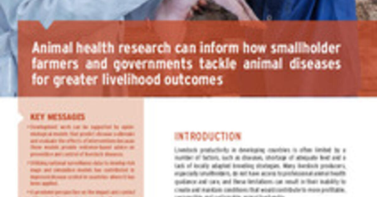 Animal health research can inform how smallholder farmers and governments tackle animal diseases