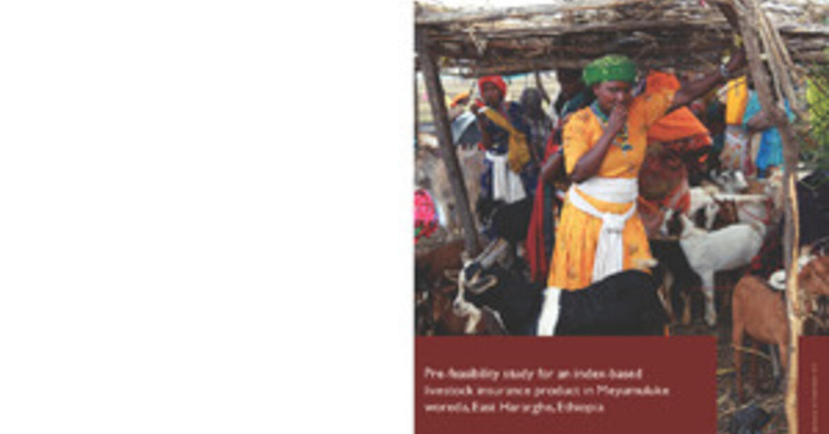 Prefeasibility study for an indexbased livestock insurance product in