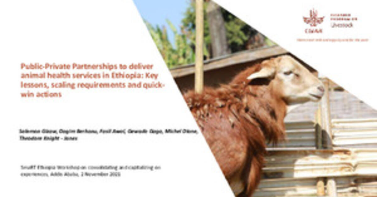 PublicPrivate Partnerships to deliver animal health services in
