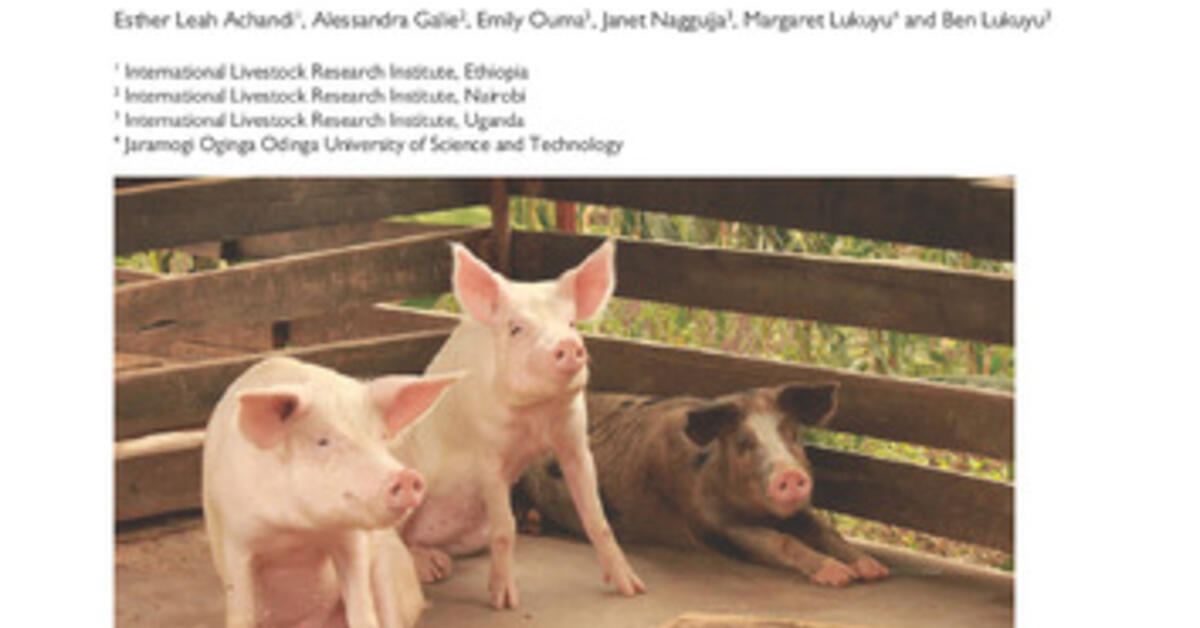 An exploration of gender norms and women’s empowerment The case of pigrelated businesses in