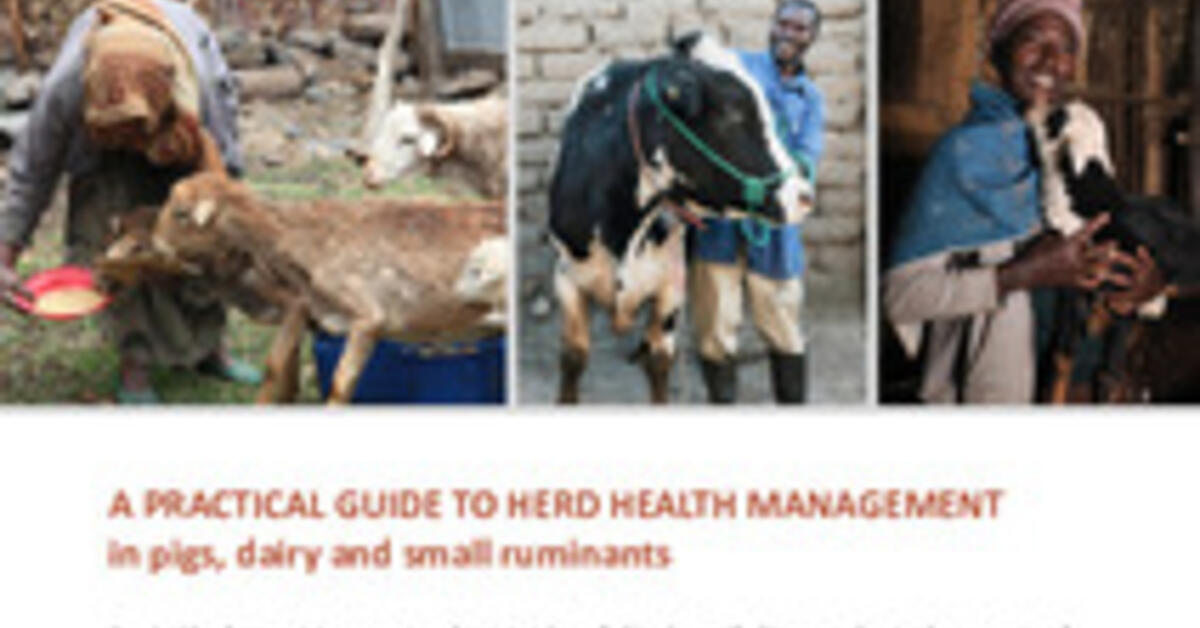 A practical guide to herd health management in pigs, dairy and small ...