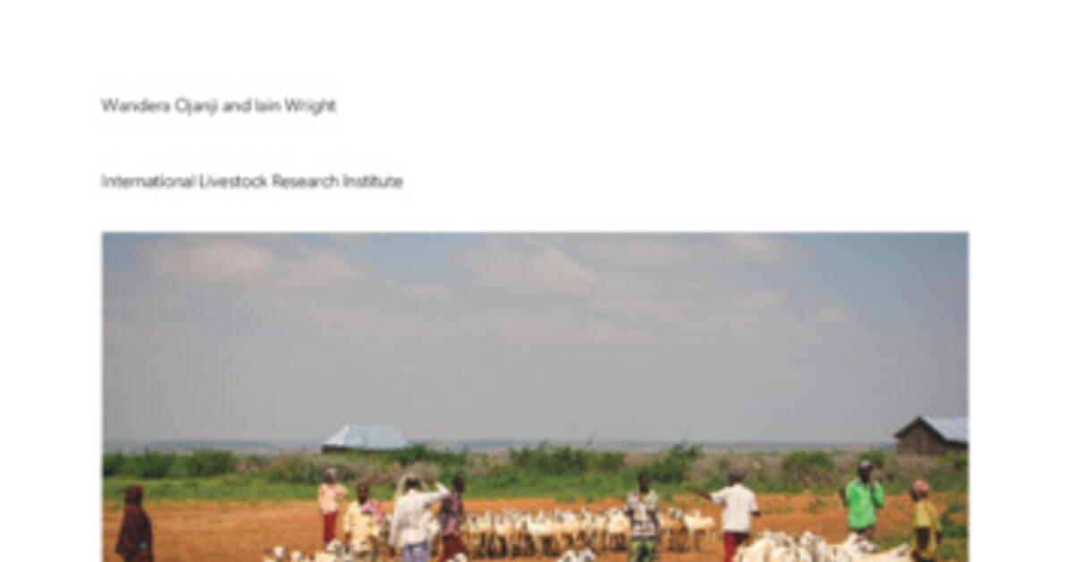 Report on round table on the potential for investment in the livestock sector in Somalia