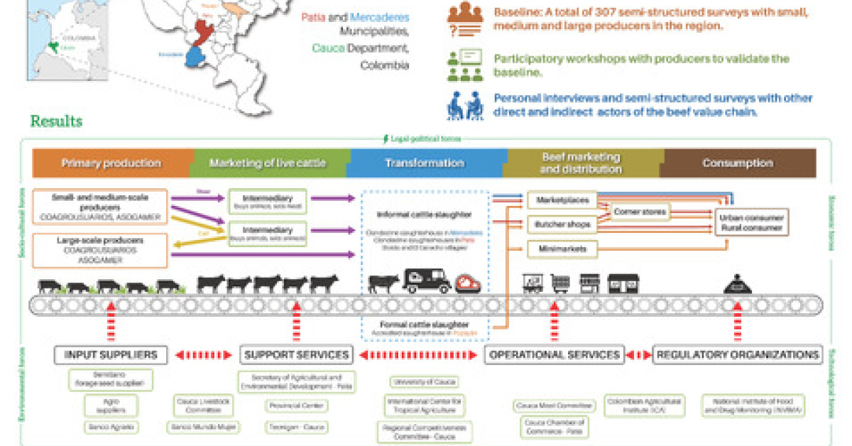 Bottlenecks for the Sustainable Development of the Beef Value Chain in ...