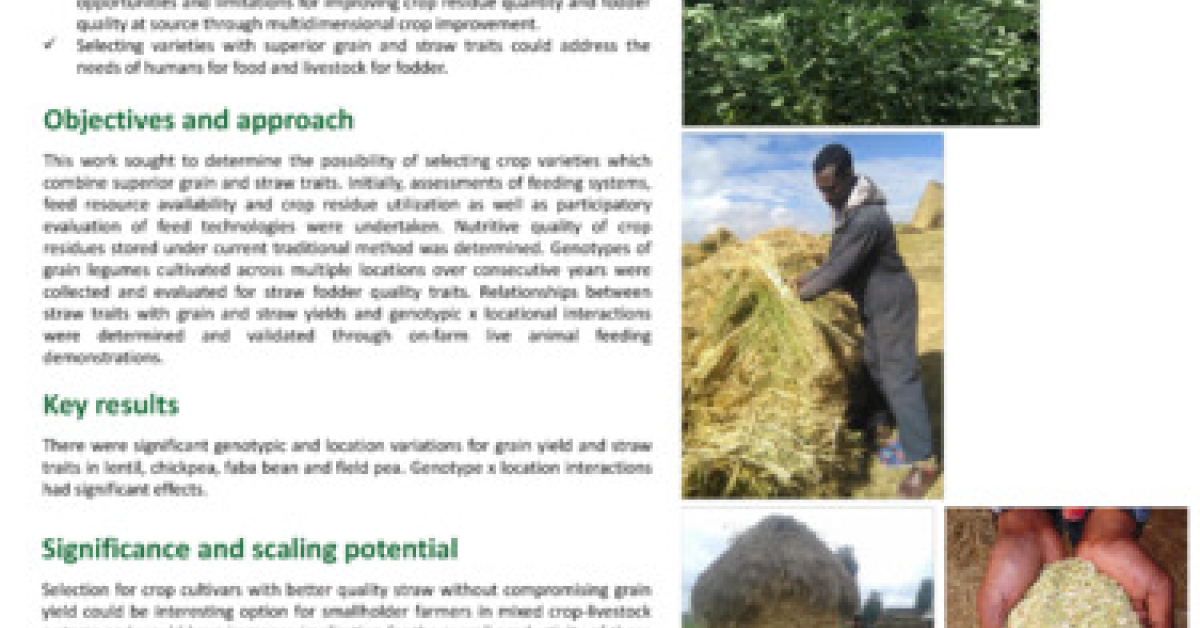 Forage Development Feeds and Forage Development: Africa RISING science, innovations and ...