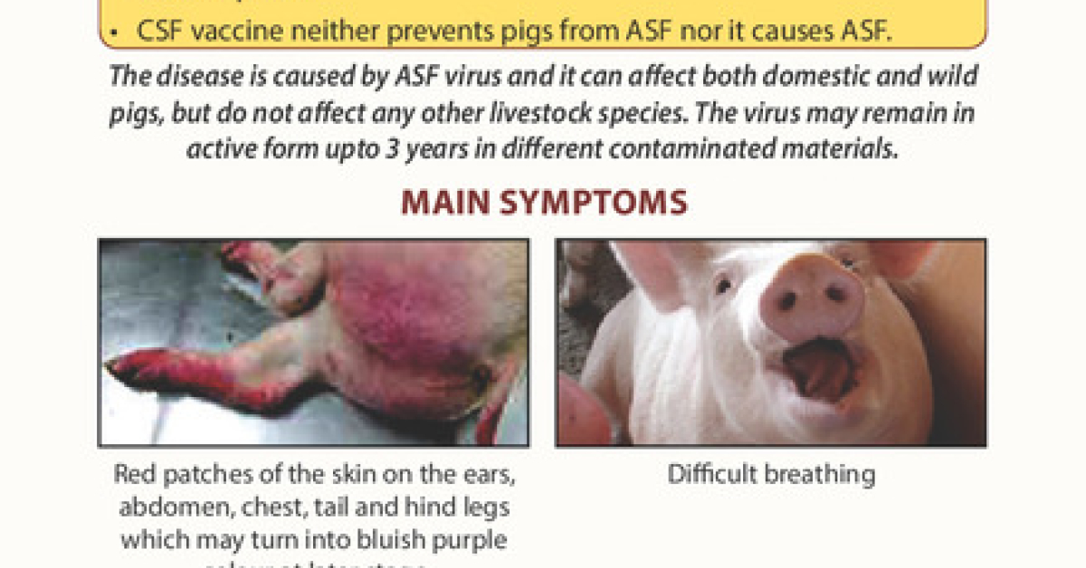 African swine fever: A newly emerged fatal disease of pigs in Assam