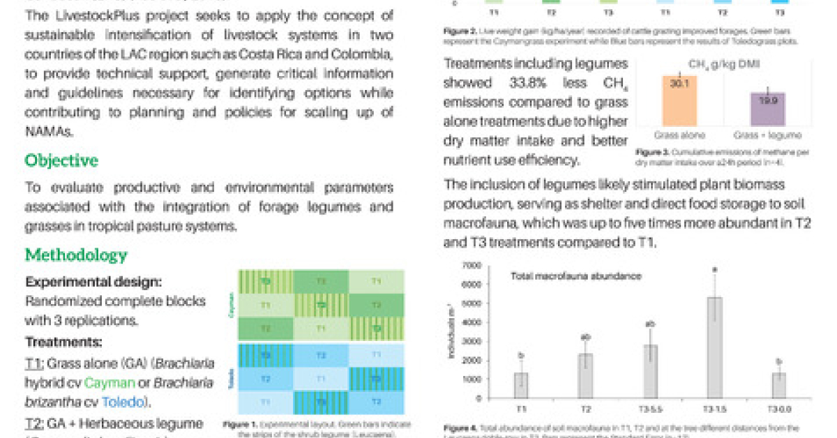 Integral assessment of productive and environmental parameters of a ...