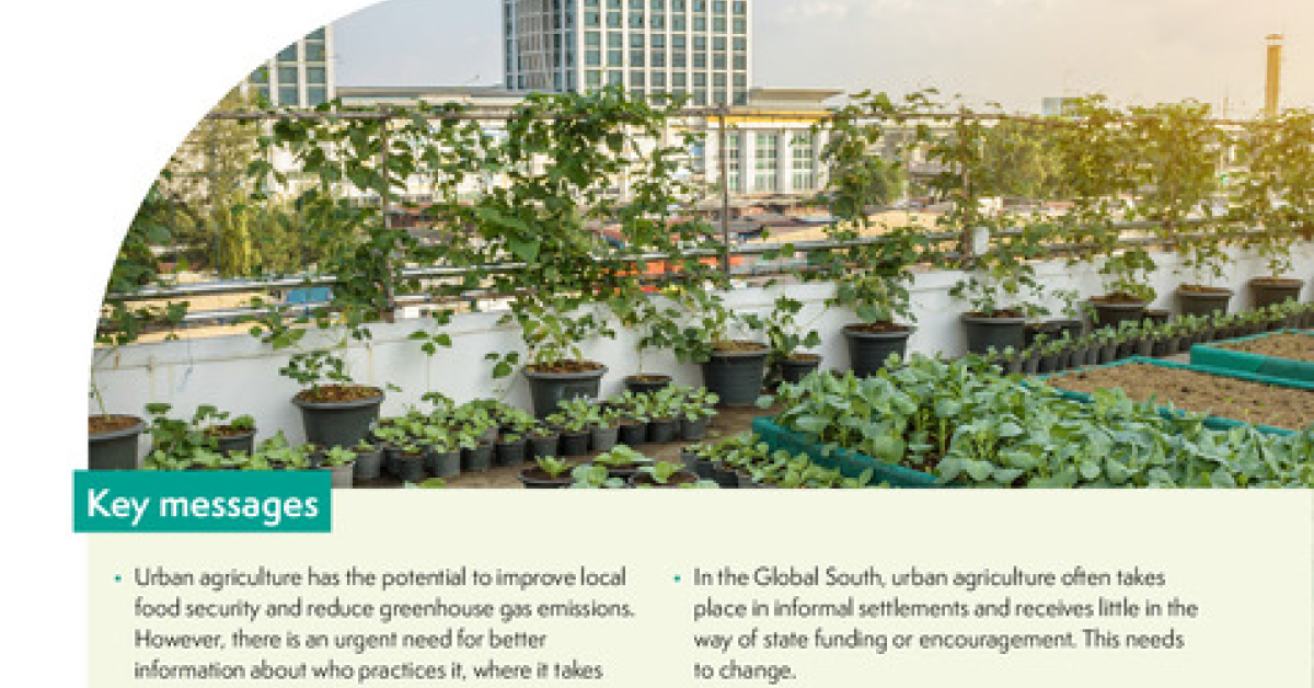 The future for urban agriculture: Is it time to rewrite the rules of ...