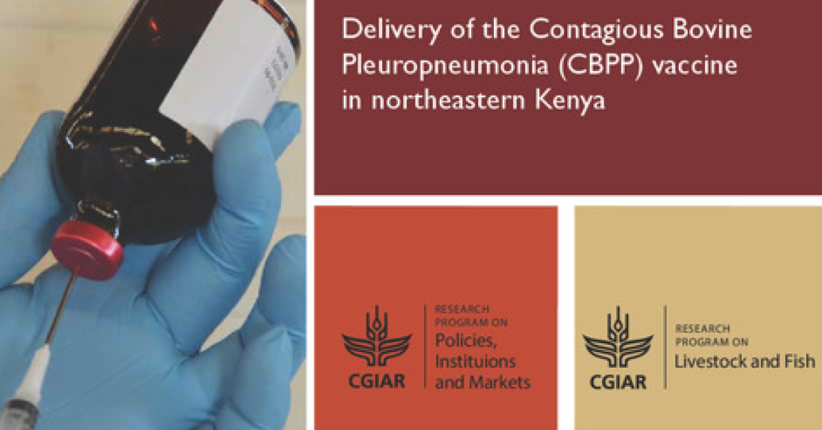 Delivery of the Contagious Bovine Pleuropneumonia (CBPP) vaccine in ...