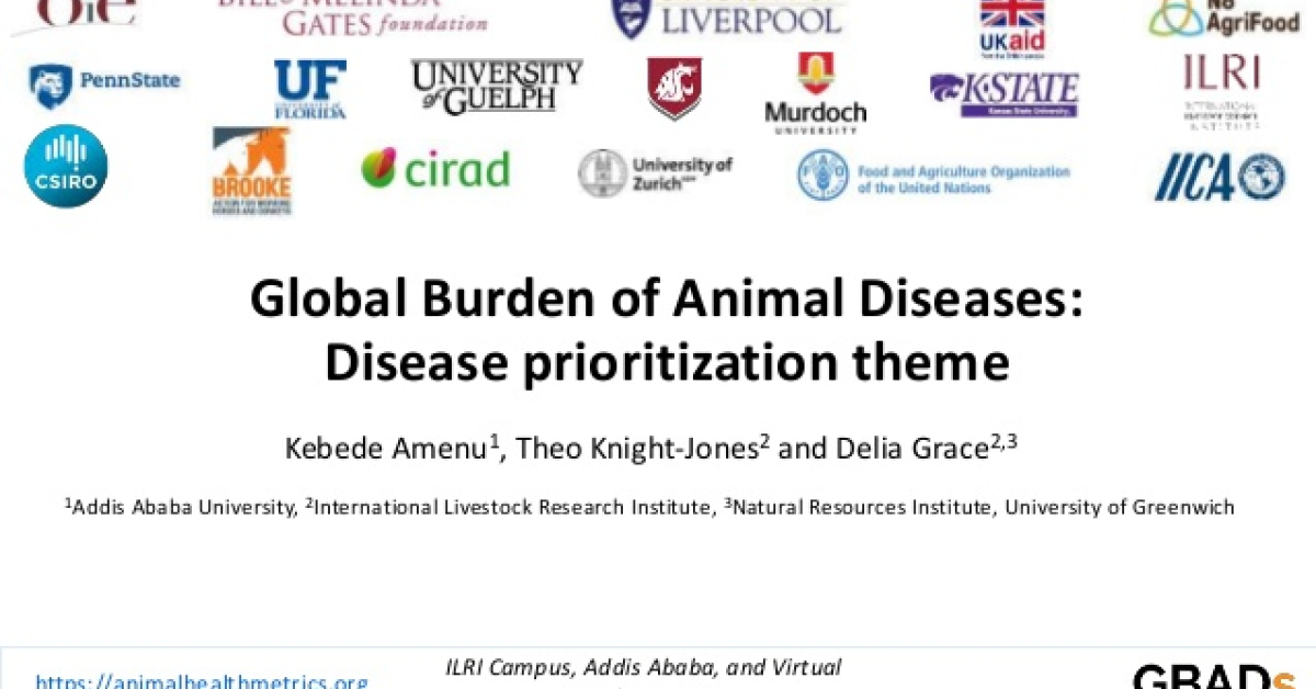 Rujuu Global Burden of Animal Diseases: Disease prioritization theme
