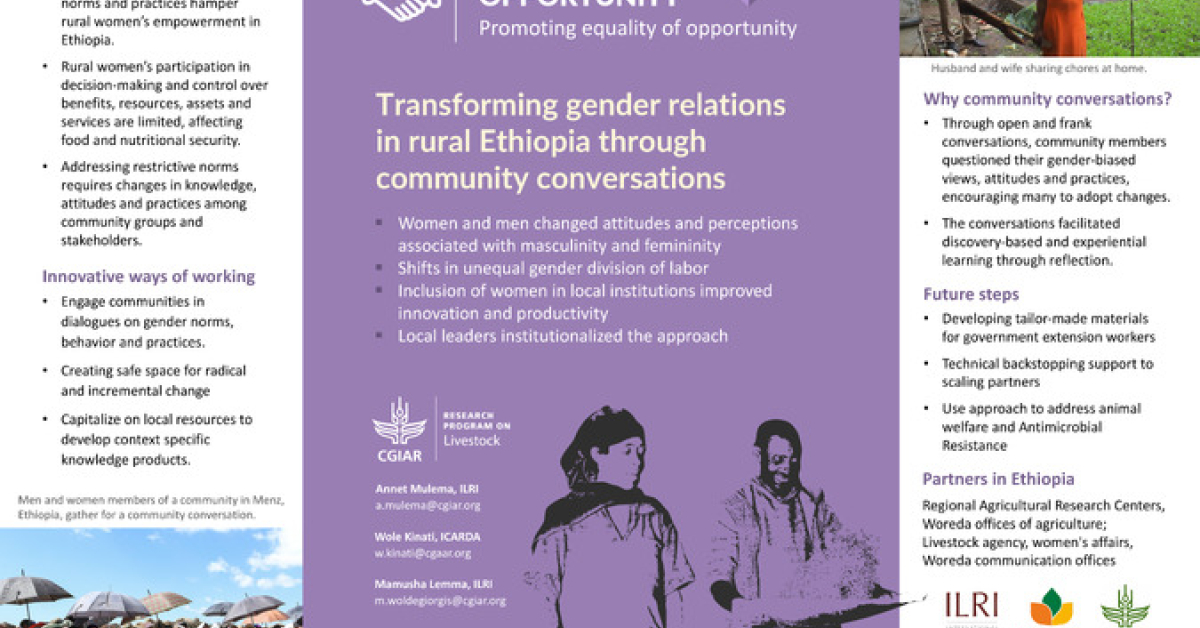 Transforming gender relations in rural Ethiopia through community ...