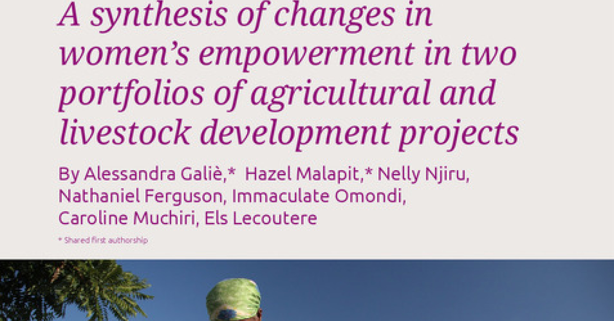 A synthesis of changes in women's empowerment in two portfolios of ...
