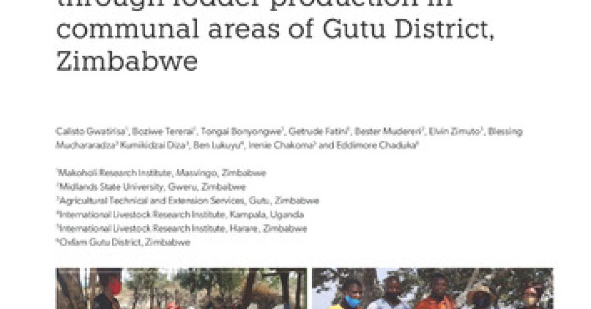 Through Fodder Characterization of the livestock production system and potential for ...