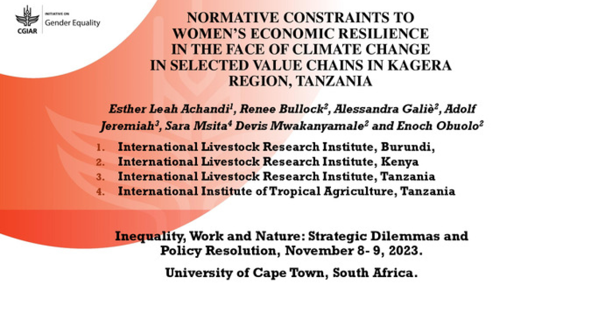 Normative constraints to women’s economic resilience in the face of ...