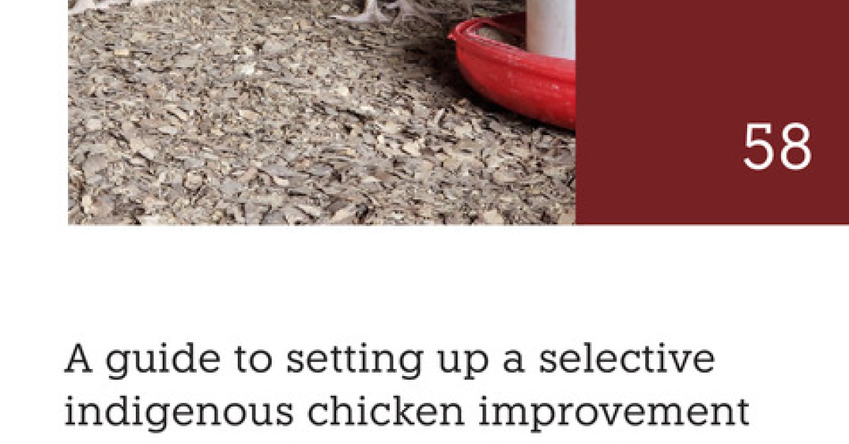 A guide to setting up a selective indigenous chicken program: The ...