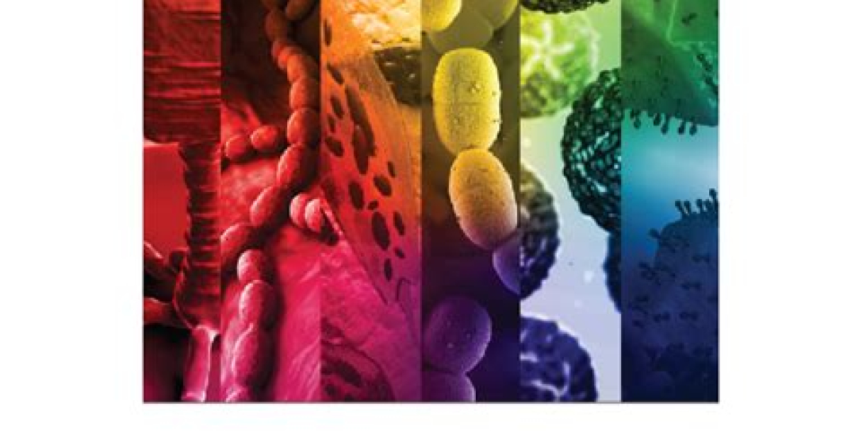 Diversity of Salmonella enterica phages isolated from chicken farms in ...