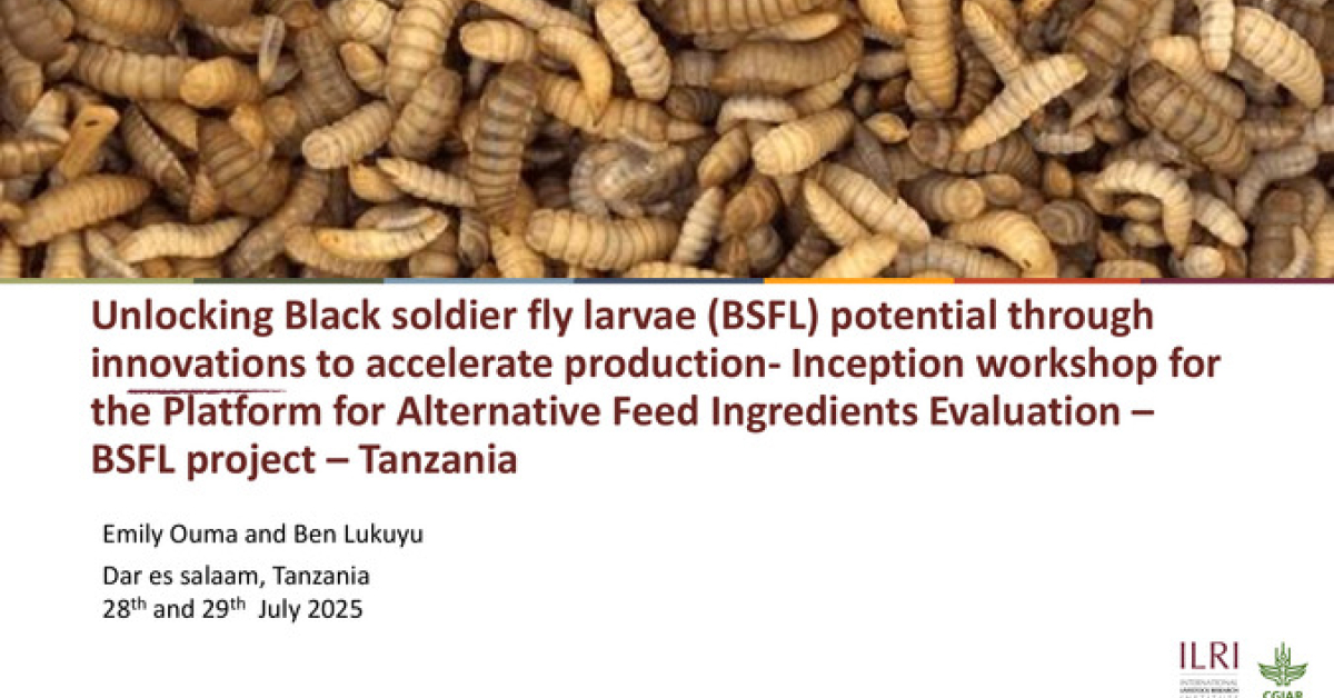Unlocking Black soldier fly larvae (BSFL) potential through innovations ...