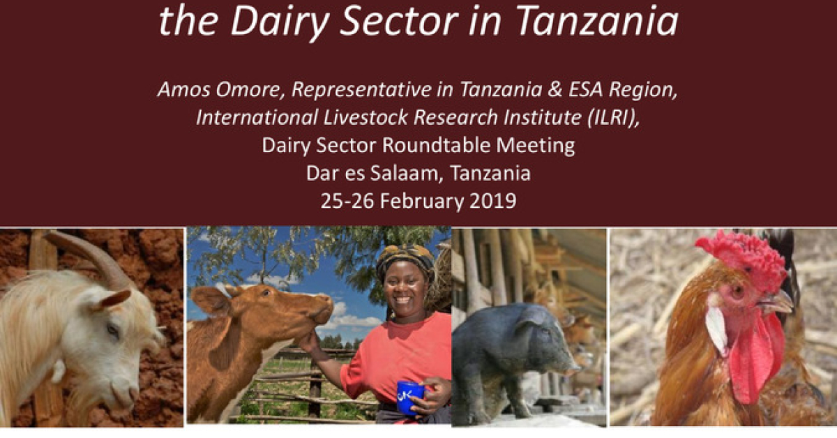 Regional markets outlook and lessons for the dairy sector in Tanzania