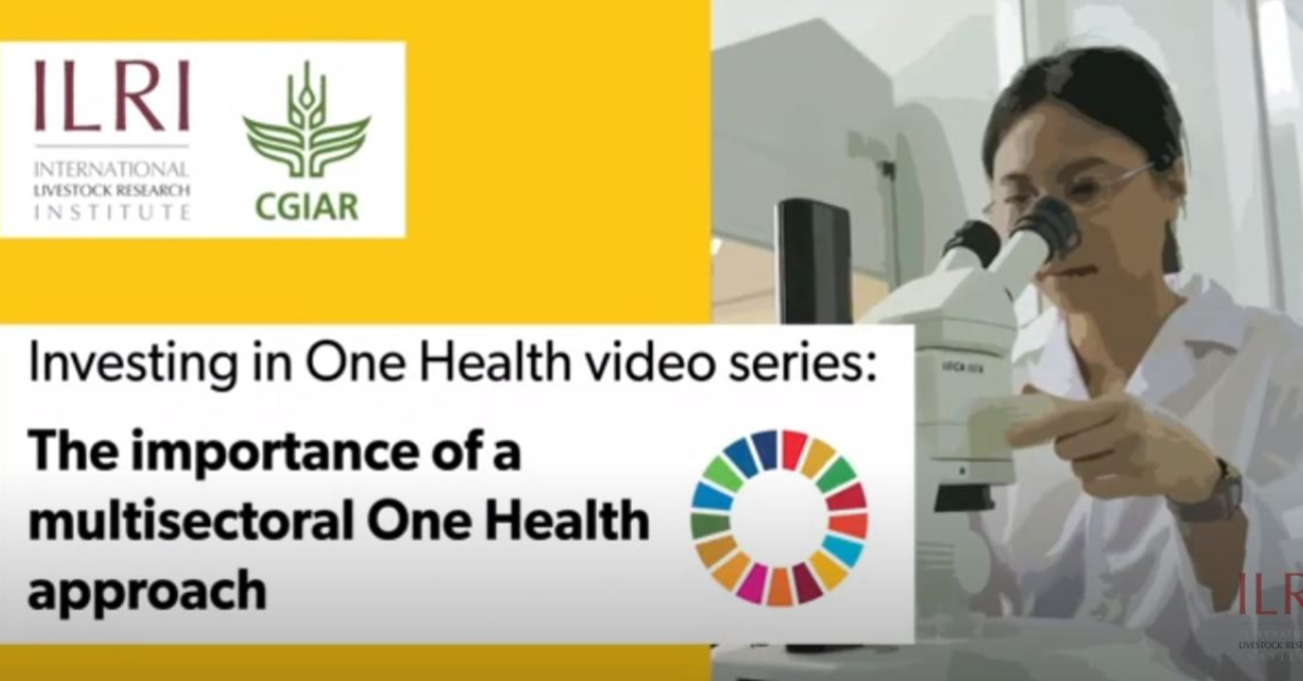 The importance of a multisectoral One Health approach