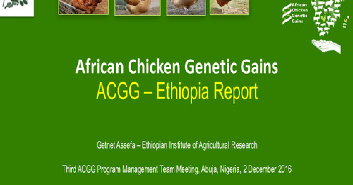 African Chicken Genetic Gains: ACGG-Ethiopia report