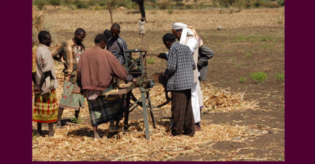 Through Fodder Enhancing Livelihoods of Poor Livestock Keepers through Increased Use ...