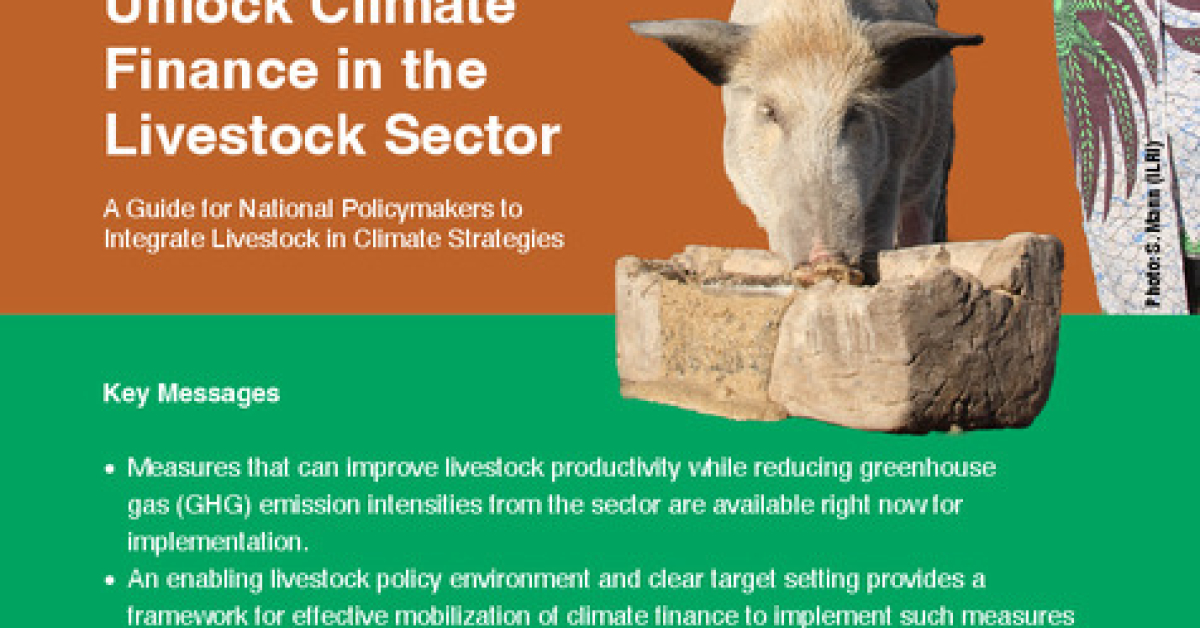Policy levers to unlock climate finance in the livestock sector: A ...
